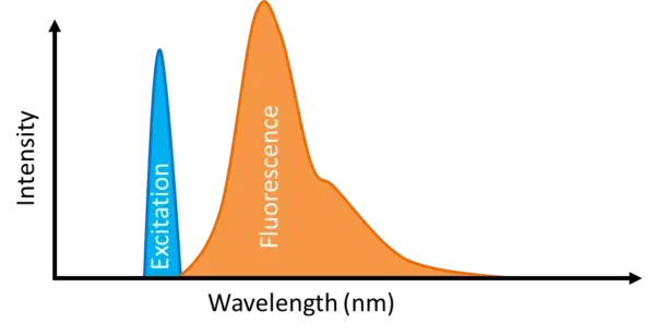 FluorescenceSpectra FluorescenceSpectra