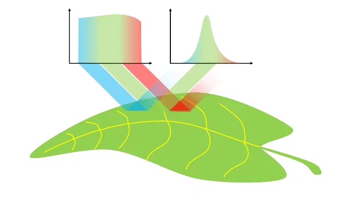 Spectral-Content-Reflected-of-a-Leaf Spectral-Content-Reflected-of-a-Leaf