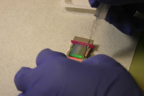 Whistleblower policy Whistleblower policy