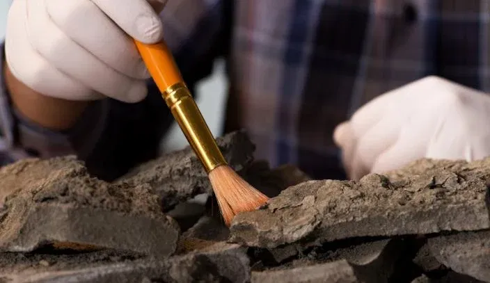 Cultural heritage – Ibsen Photonics Kulturelles Erbe - Ibsen Photonics